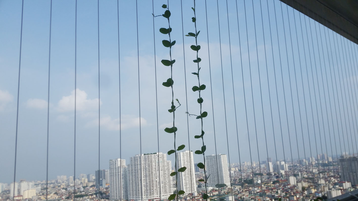 Nhà bạn đã lắp đặt lưới an toàn ban công chưa